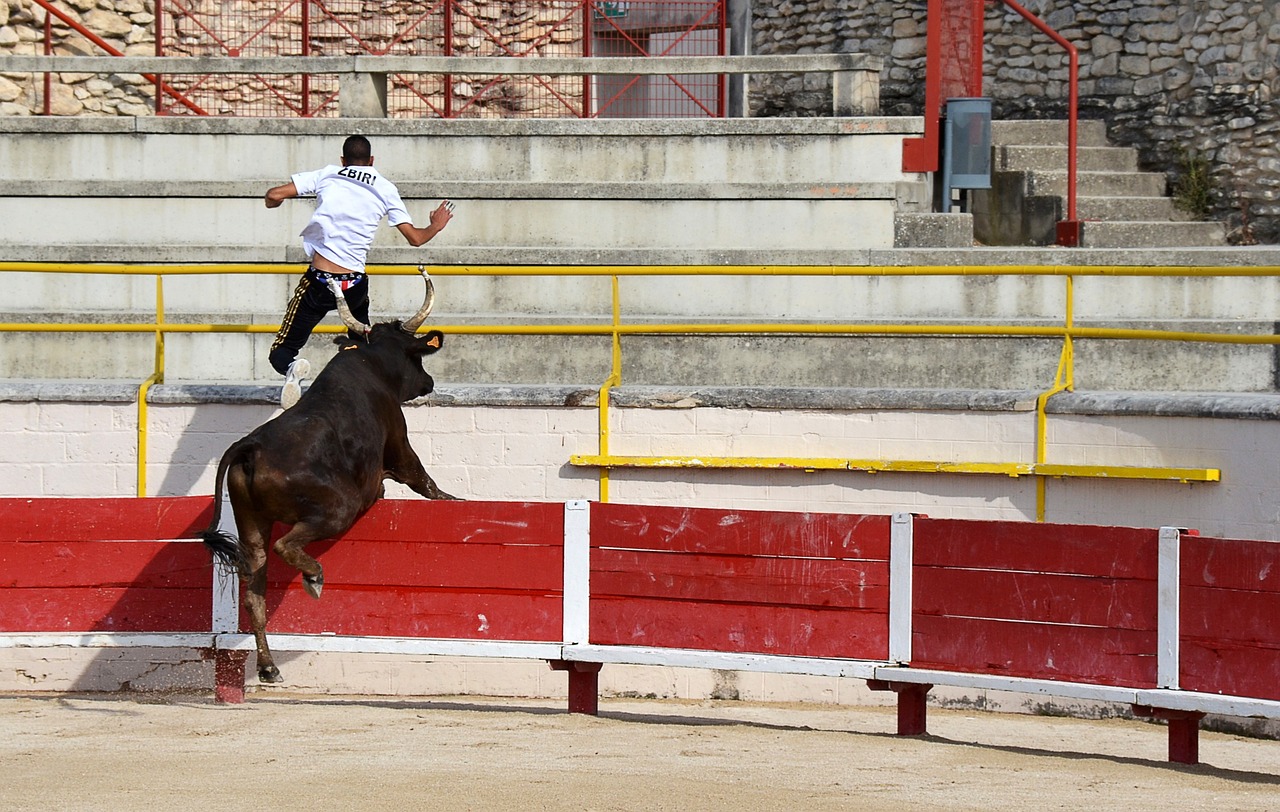 与梦想