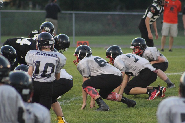 为球队提供 为球队提供