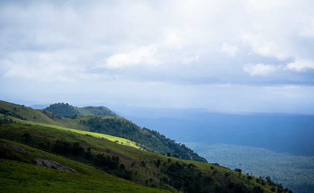 依賴大牌球 依賴大牌球