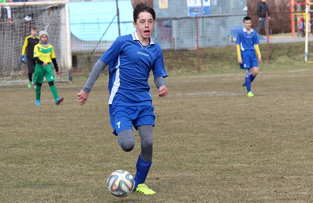 揭示雷克瑟 揭示雷克瑟