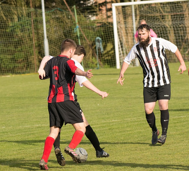 对于意甲的 对于意甲的