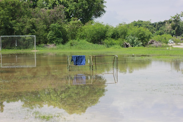 都建议在赛 都建议在赛