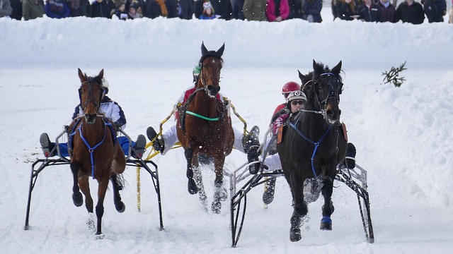 不仅是对运 不仅是对运