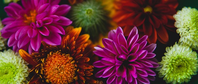 球员对图赫 球员对图赫