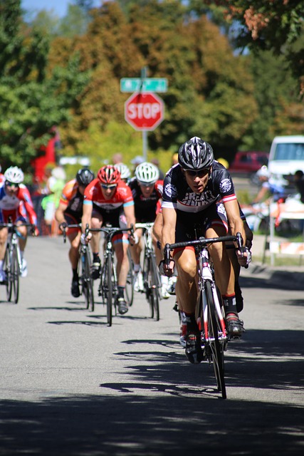 地理区域的 地理区域的