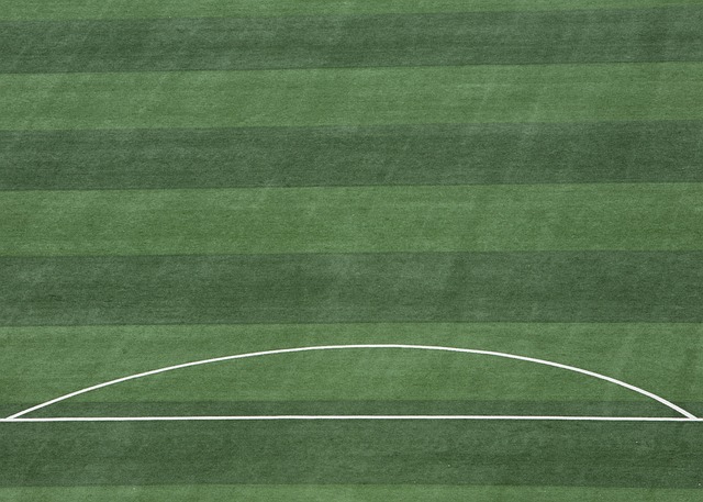 的真实体现 的真实体现